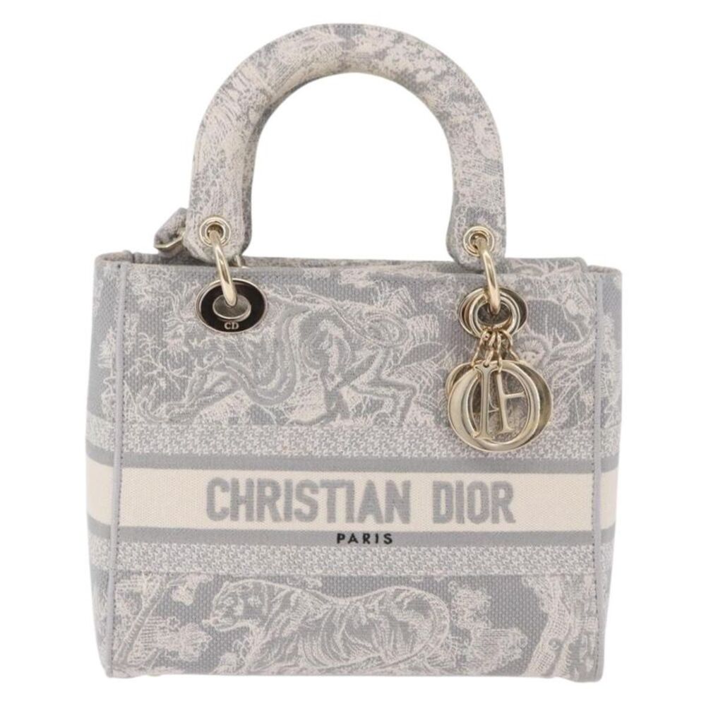 Christian Dior Lady Dior Embroidered Canvas Gray Canvas Handbag